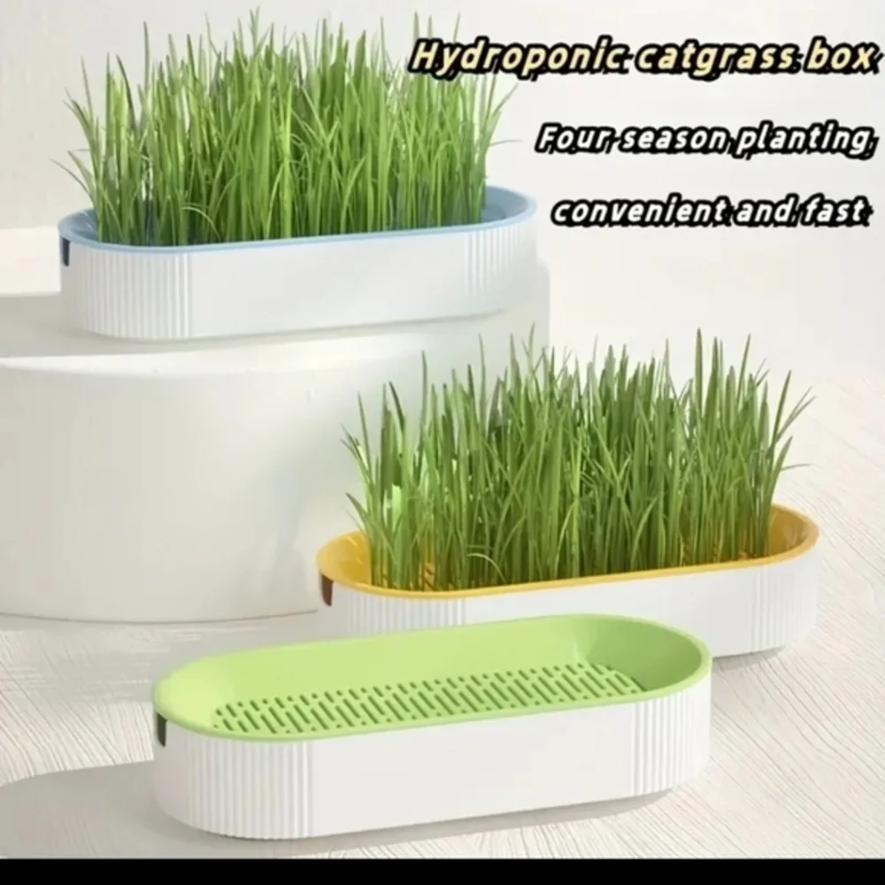 Organic Hydroponic Soil Free Cat Grass Box Cat Nip Blue and White‎ NWT